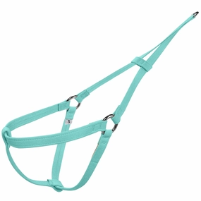 Susan Lanci Plain and Simple Step N Go Harness