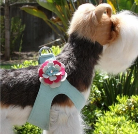 Susan Lanci Step in Harness- Blossom