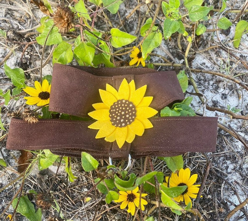 Susan Lanci Sunflower Tinkie Harnesss