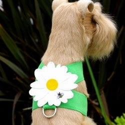 Susan Lanci Tinkie Large Daisy Collection Tinkie Ultrasuede Harnesses
