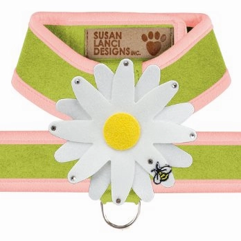 Susan Lanci Two Tone Lime Tinkie Harness with Puppy Pink Trim with Daisy