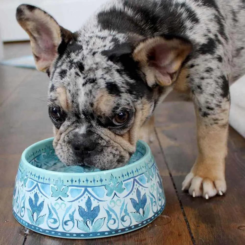 TarHong Gibraltar Double Wall Dog Bowl
