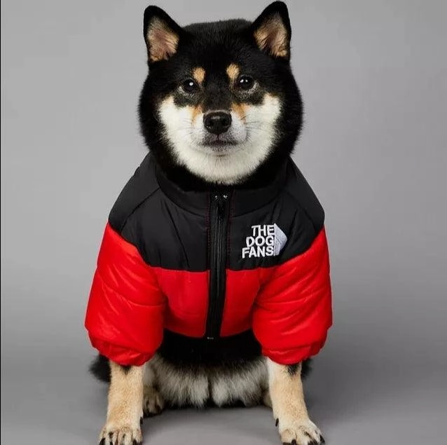 The Dog Fans - Dog Puffer Jacket