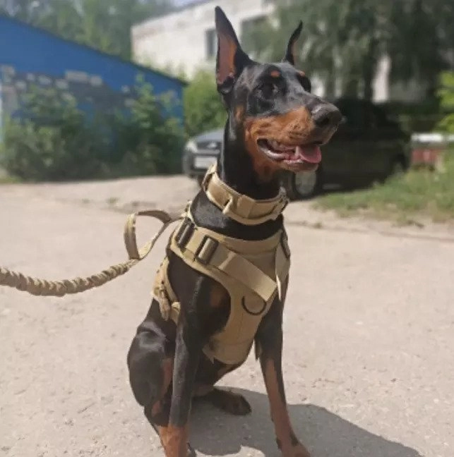 The Pets Club Heavy Duty Military Tactical Dog Harness Vest