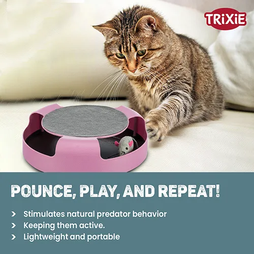 Trixie Catch The Mouse Toy for Cats (Pink)