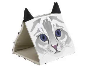 Tunnel House Pyramid