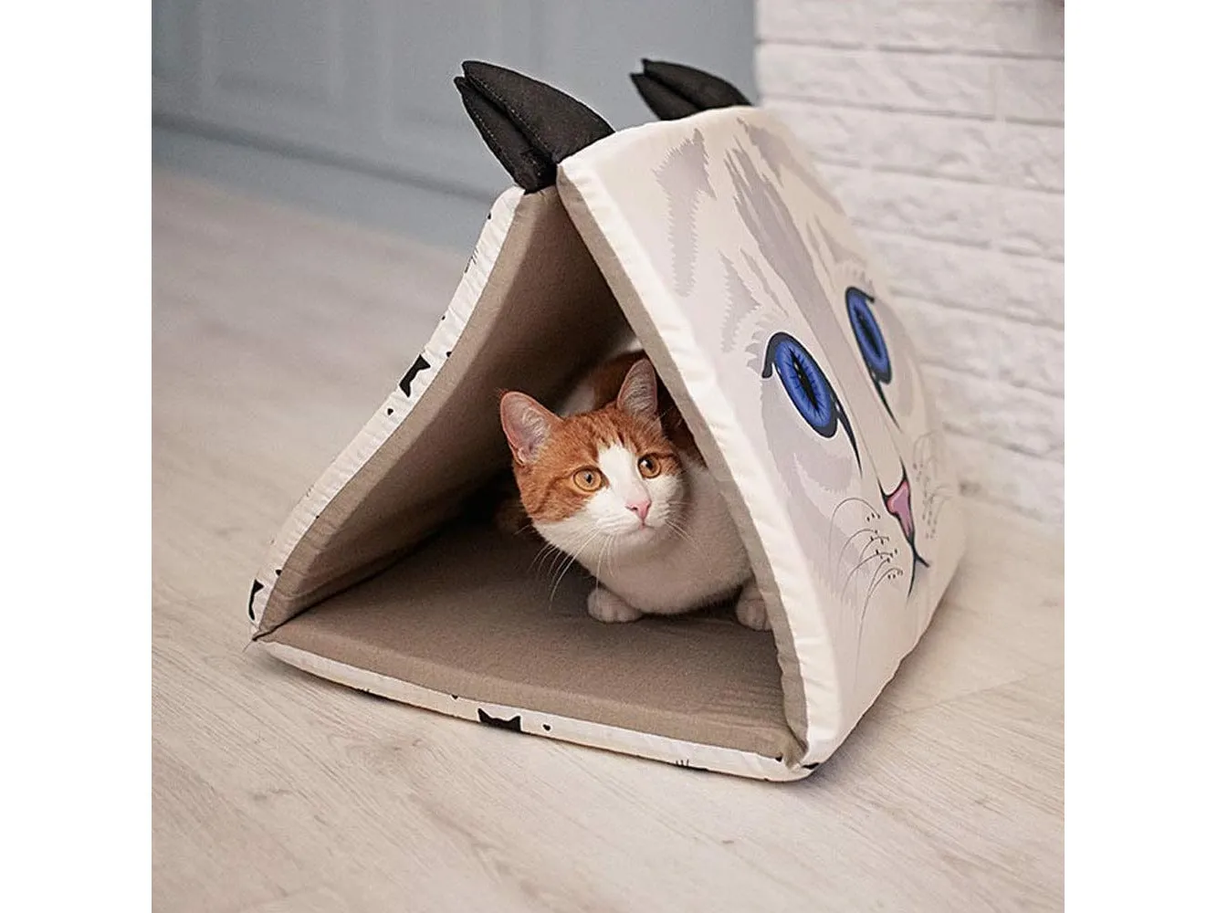 Tunnel House Pyramid