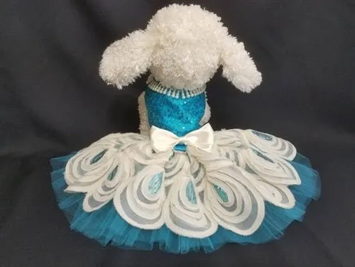 Turquoise Dog Harness Dress