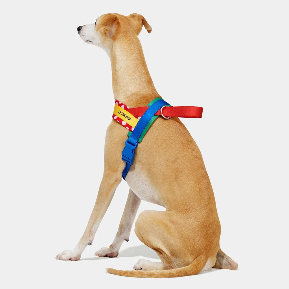 VETRESKA Chroma Dog Harness & Leash Set (Red)