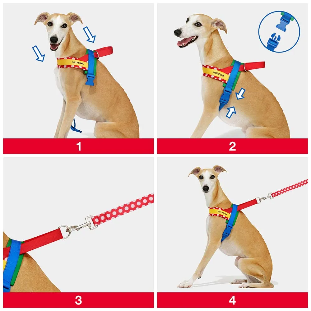 VETRESKA Chroma Dog Harness & Leash Set (Red)