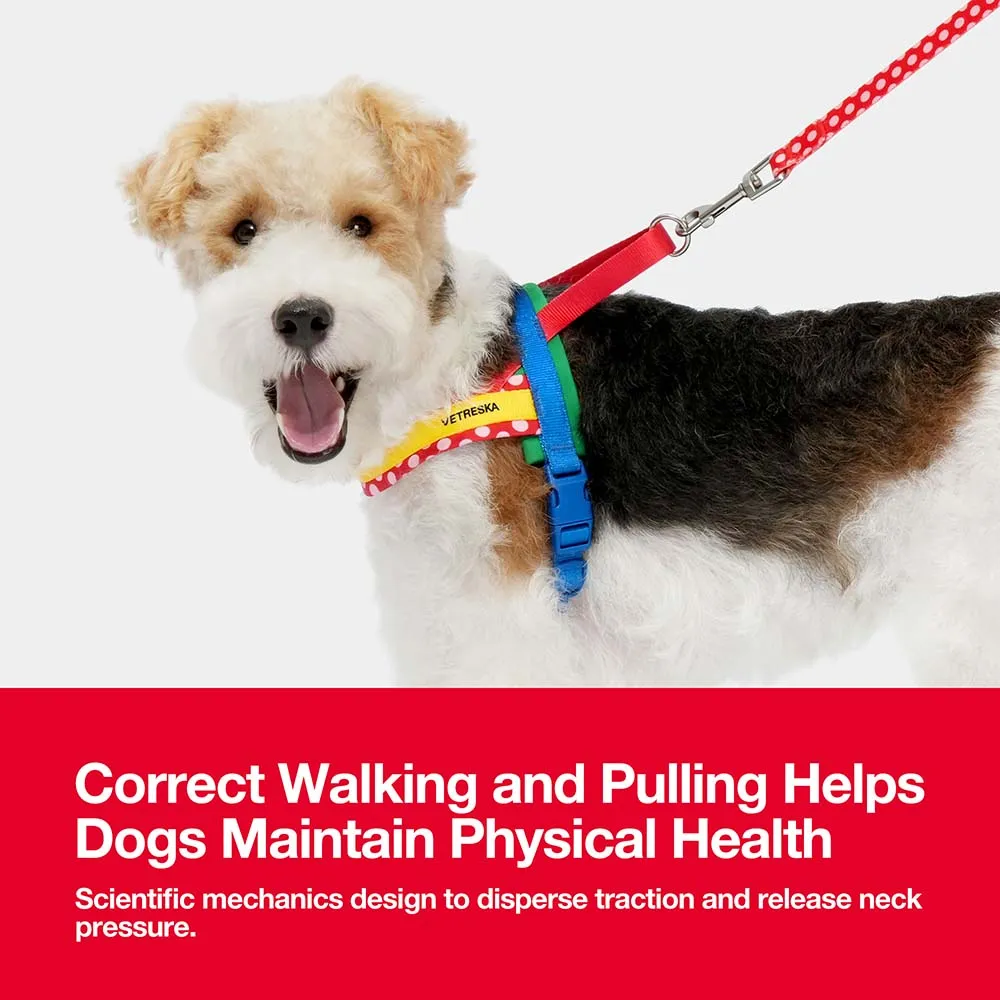 VETRESKA Chroma Dog Harness & Leash Set (Red)
