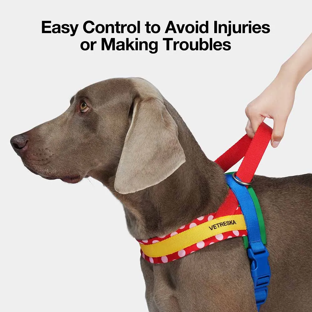 VETRESKA Chroma Dog Harness & Leash Set (Red)