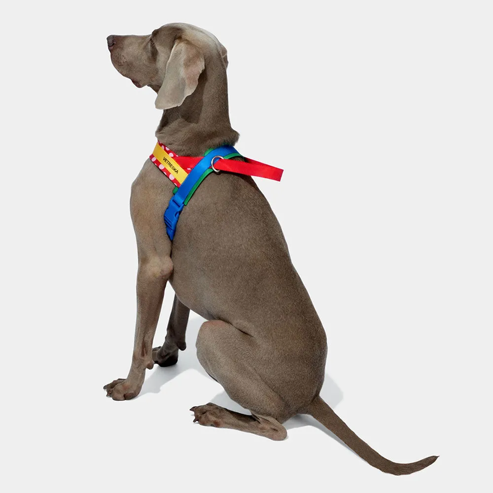 VETRESKA Chroma Dog Harness & Leash Set (Red)