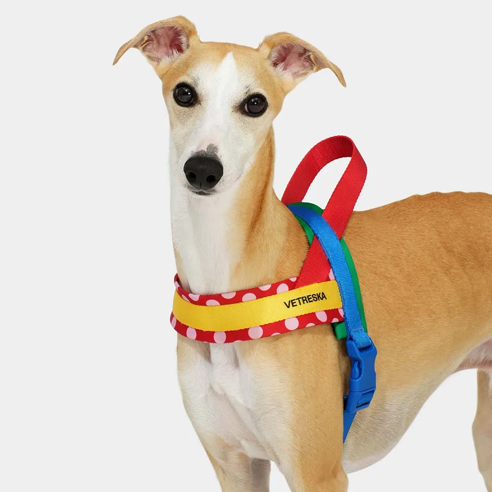 VETRESKA Chroma Dog Harness & Leash Set (Red)
