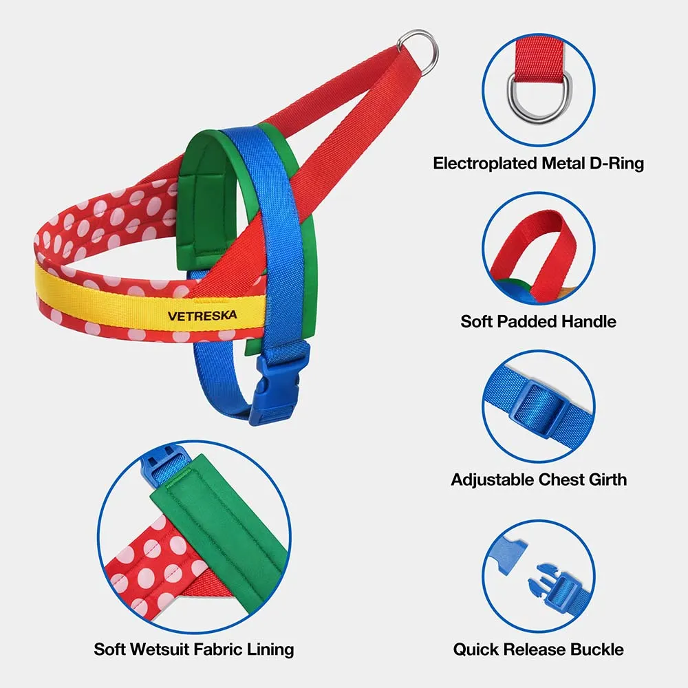 VETRESKA Chroma Dog Harness & Leash Set (Red)