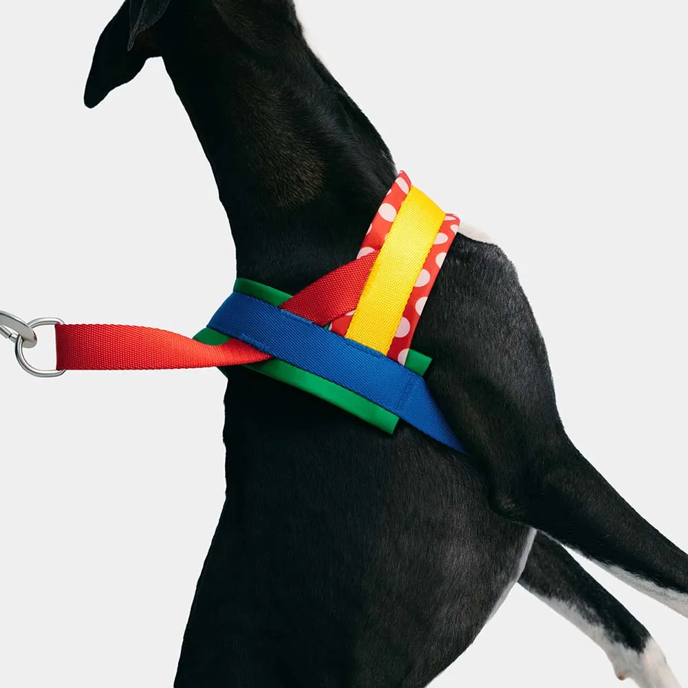 VETRESKA Chroma Dog Harness & Leash Set (Red)