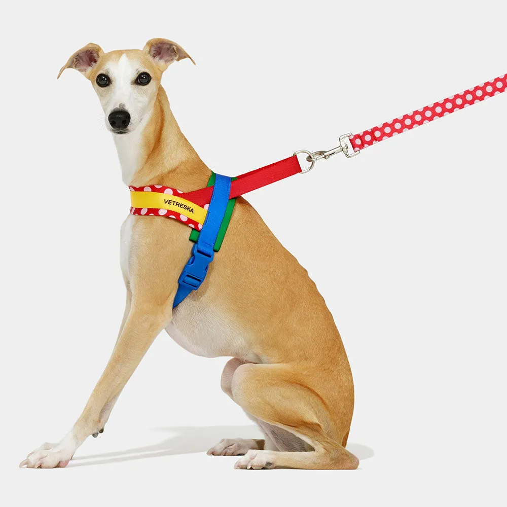 VETRESKA Chroma Dog Harness & Leash Set (Red)