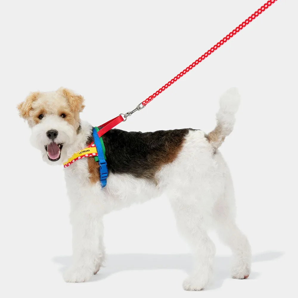 VETRESKA Chroma Dog Harness & Leash Set (Red)
