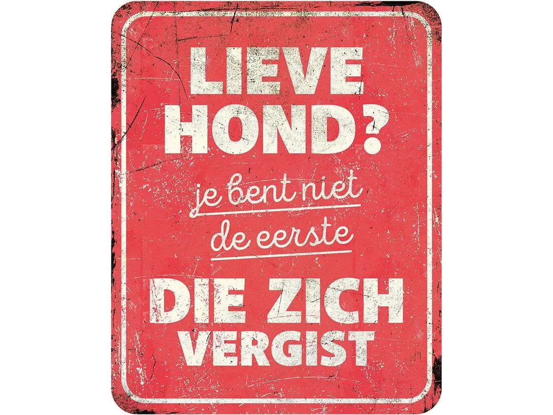 Warning Sign English 25X20X0,3Cm Multicolour