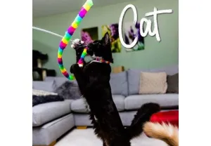 WIGGLE WORM CAT DANGLER RAINBOW