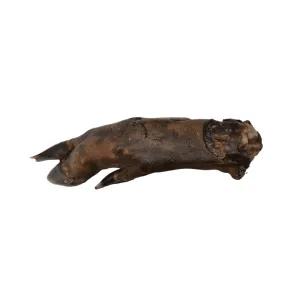 Wild Boar Trotter