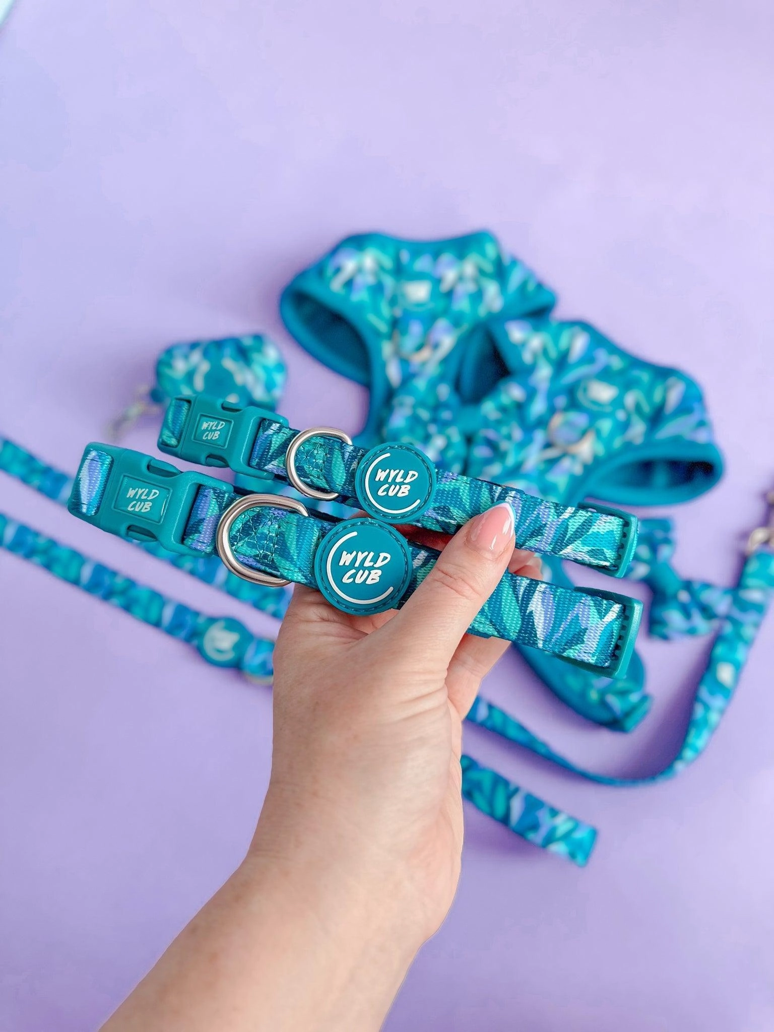 Wyld Cub - Adjustable Dog Collar: Kew Agave