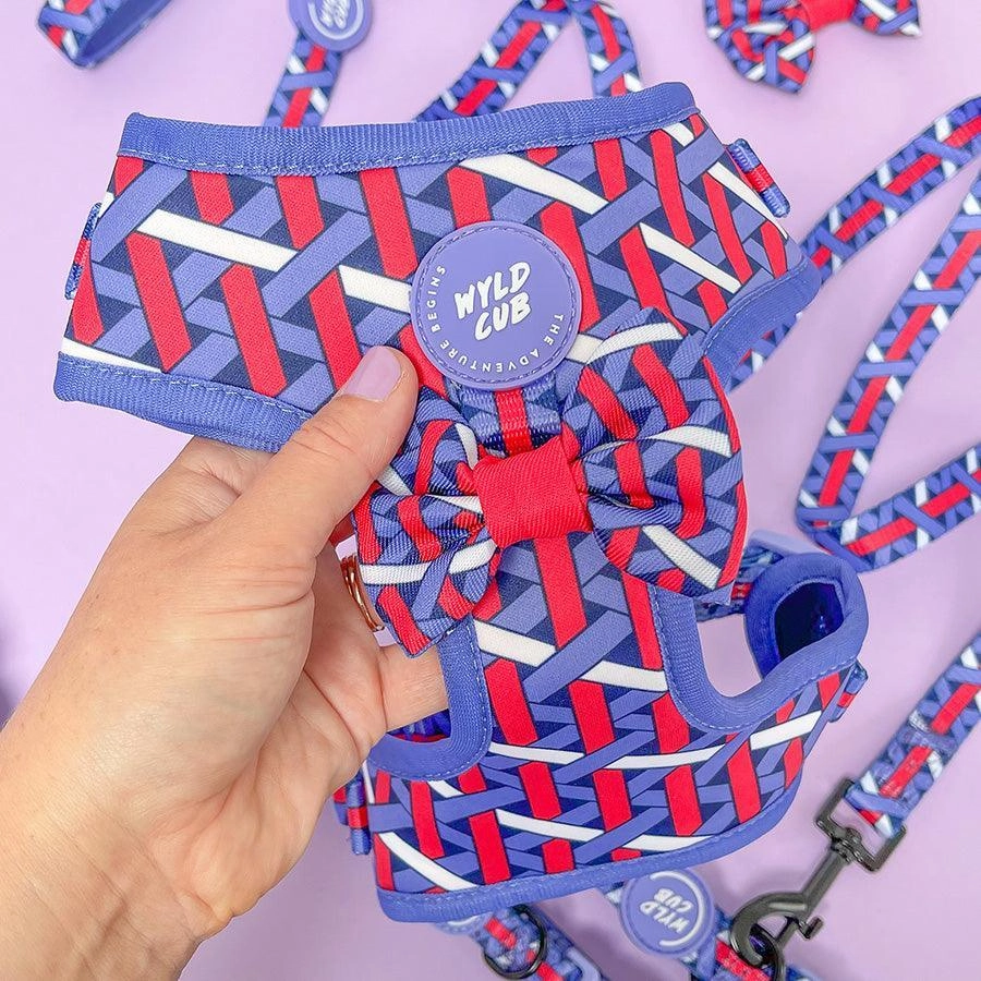 Wyld Cub - Adjustable Dog Harness: Knightsbridge Violet