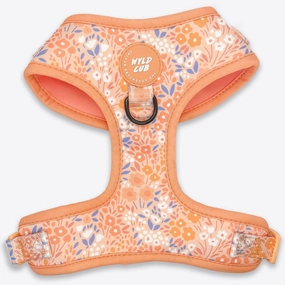 Wyld Cub - Adjustable Dog Harness: Notting Hill Buttercup