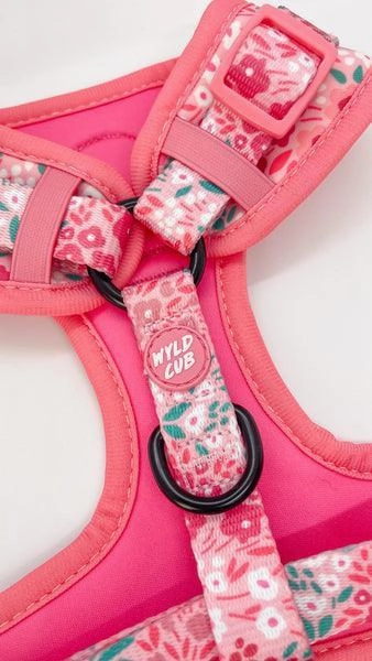 Wyld Cub - Adjustable Dog Harness: Notting Hill Ros