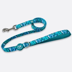 Wyld Cub - Dog Lead: Kew Agave