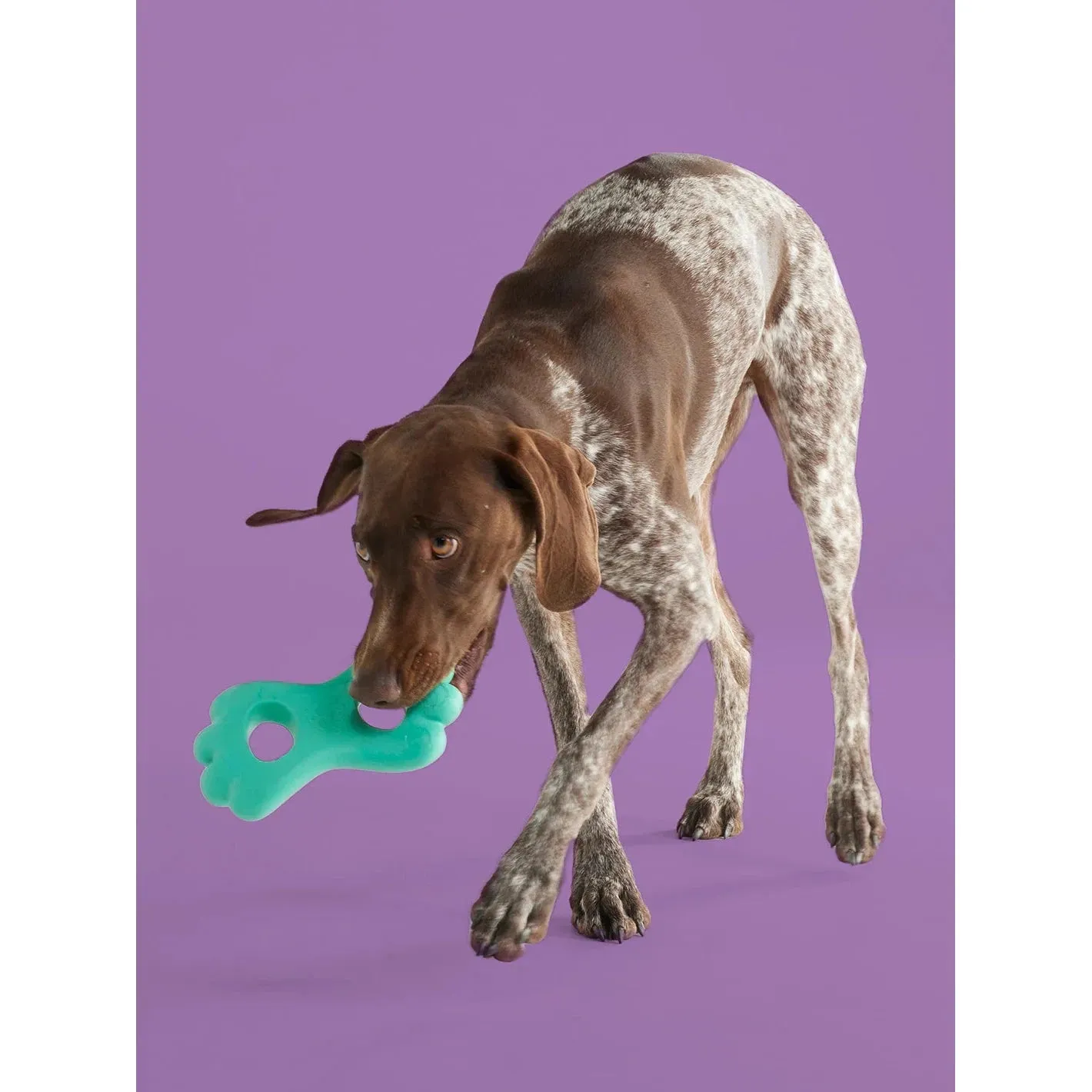 Yomp TugPup BPA Free Food Grade Silicone Dog Toy