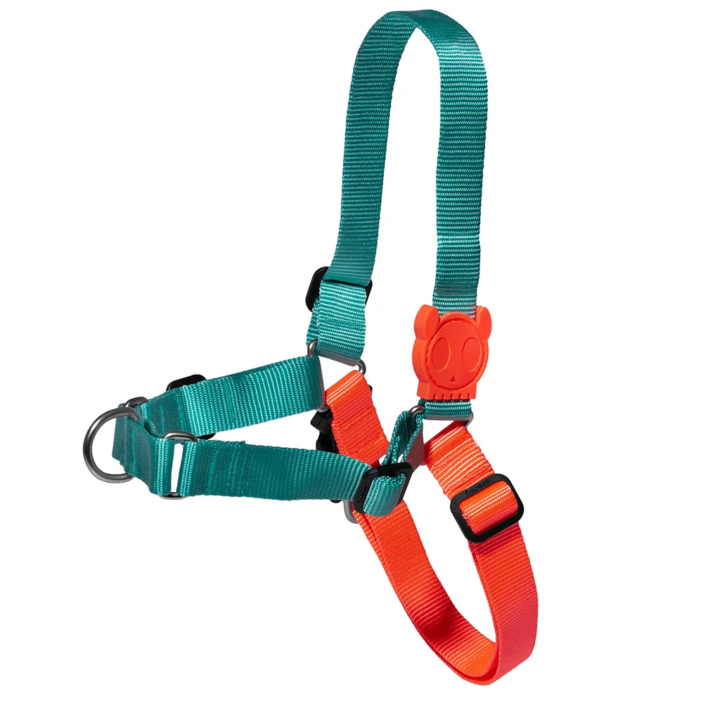 Zee Dog Soft-Walk Harness of Dog