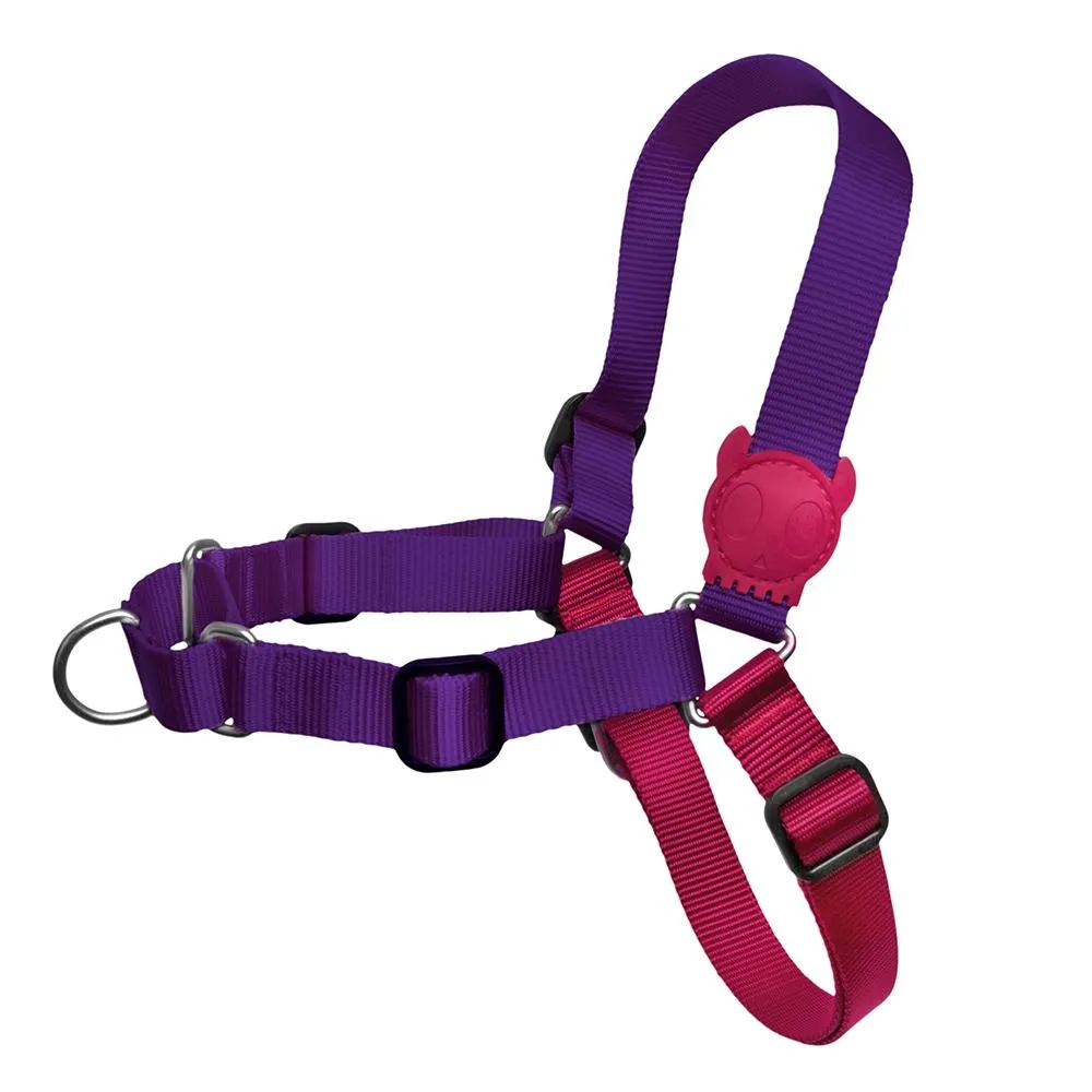Zee Dog Soft-Walk Harness of Dog