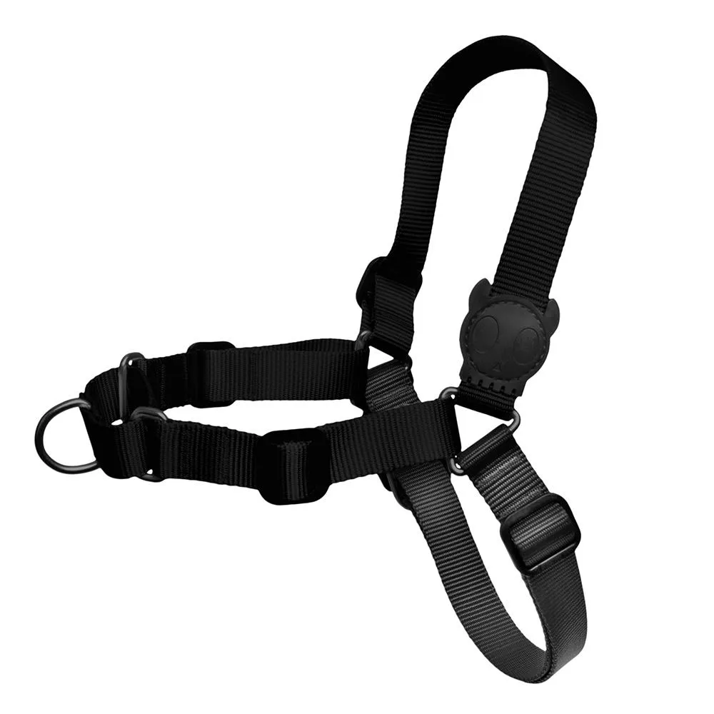 Zee Dog Soft-Walk Harness of Dog