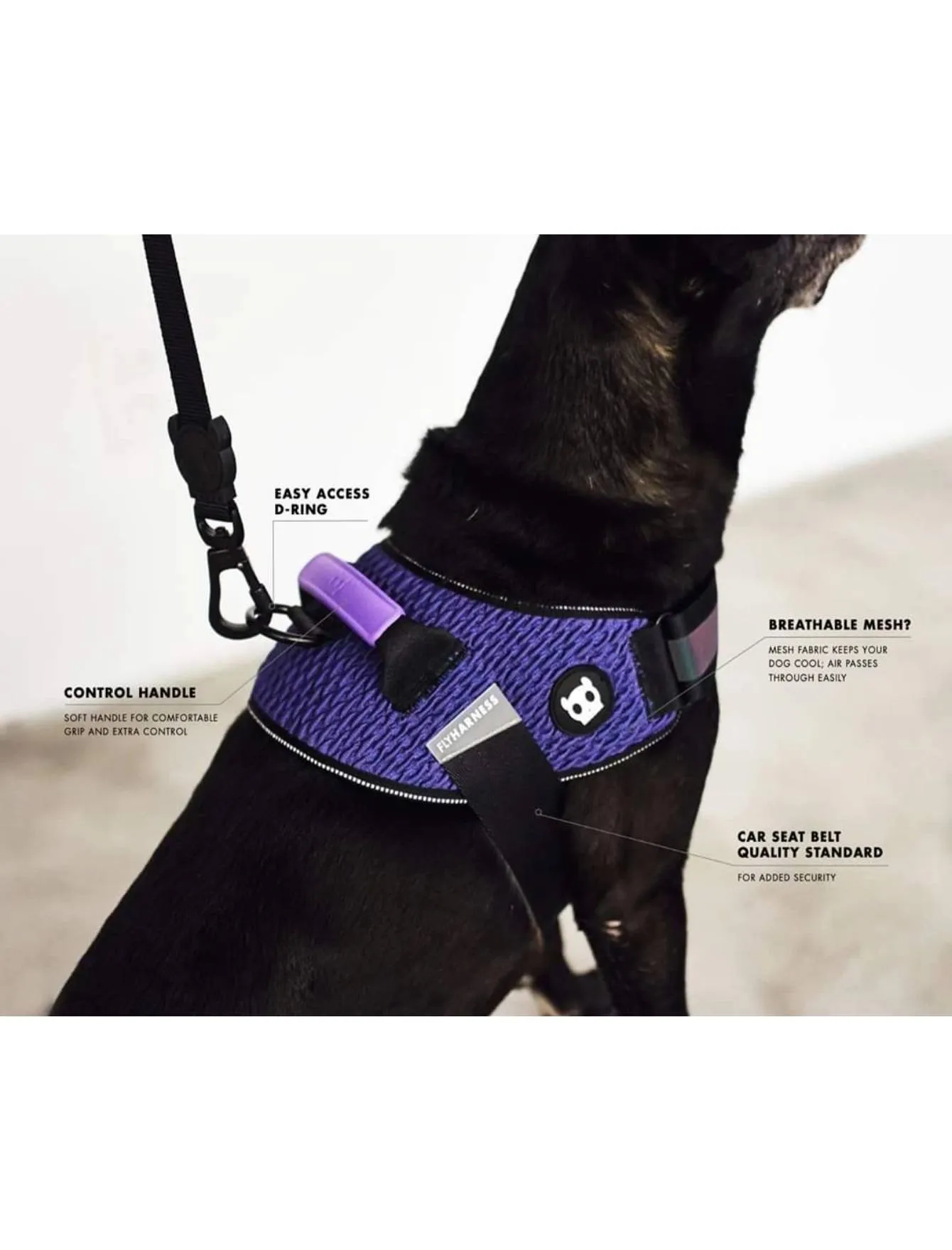 Zee Dog Wicked Fly Harness