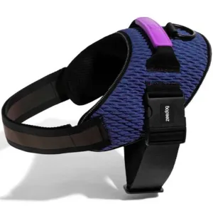 Zee Dog Wicked Fly Harness