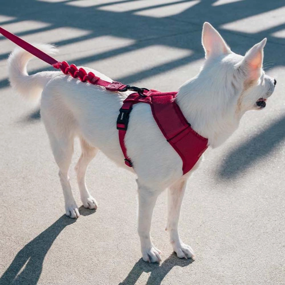 Zee.Dog Air Mesh Dog Harness (Bordeau)