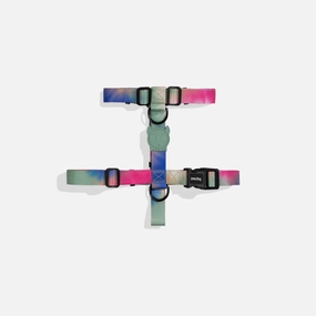 Zee.Dog Bliss Dog H Harness Medium