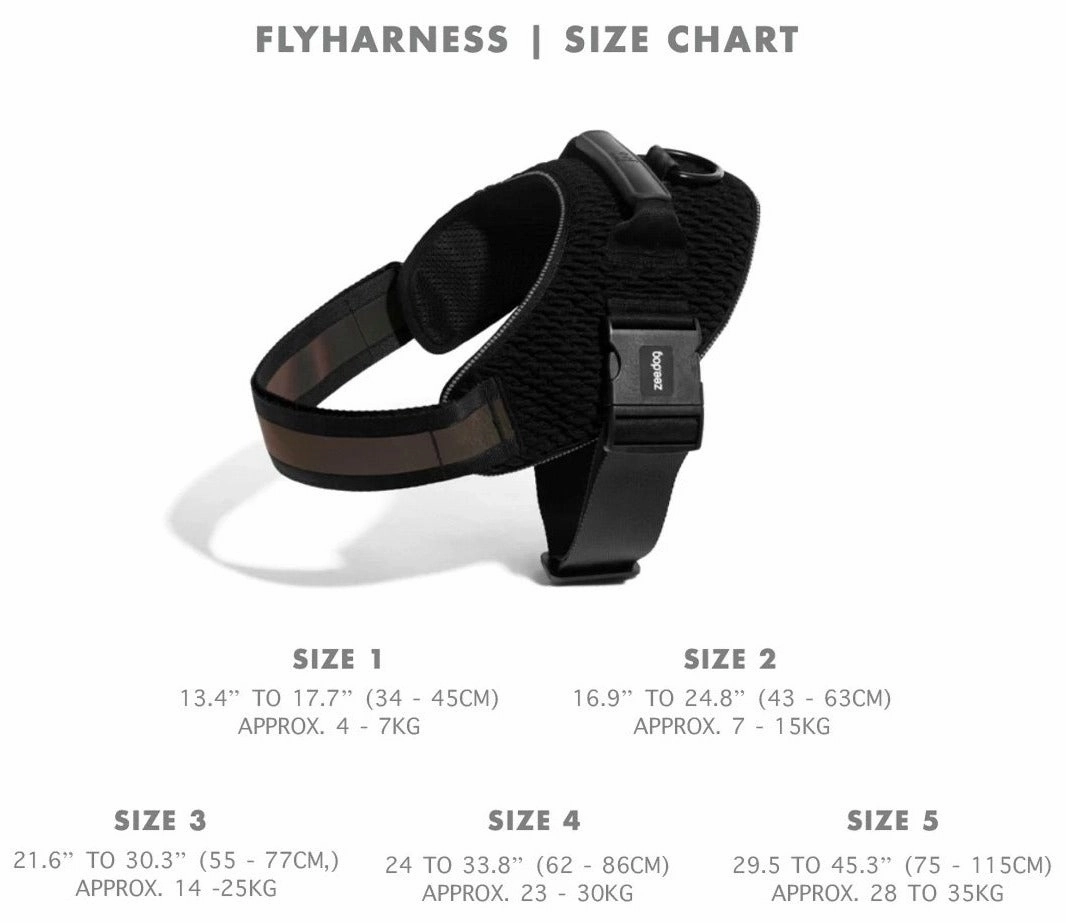 Zee Dog Gotham Fly Harness