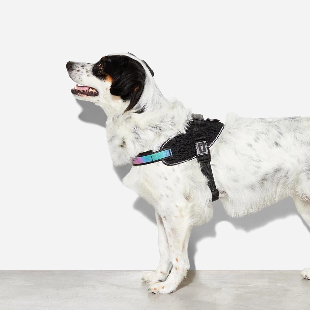 Zee Dog Gotham Fly Harness