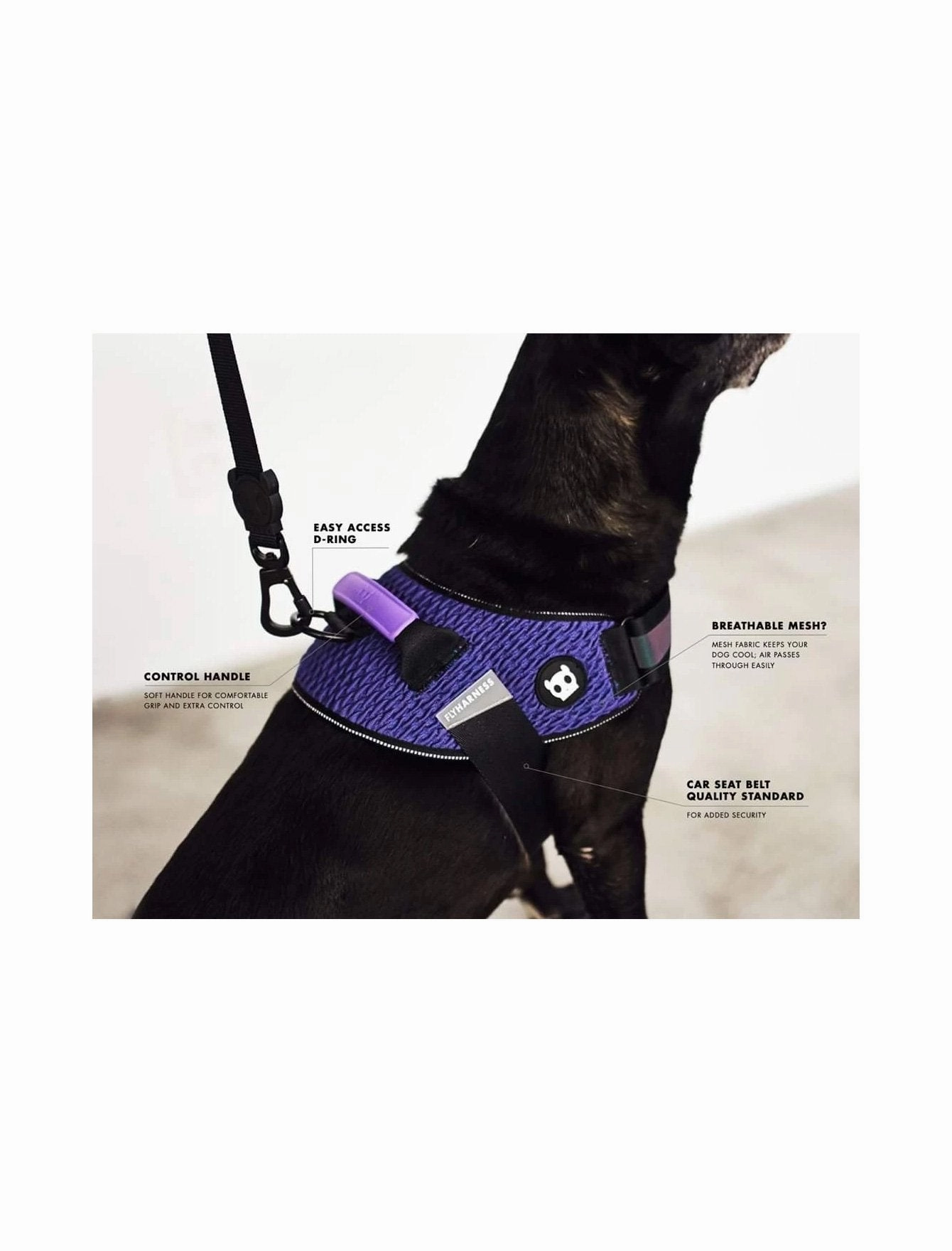 Zee Dog Gotham Fly Harness