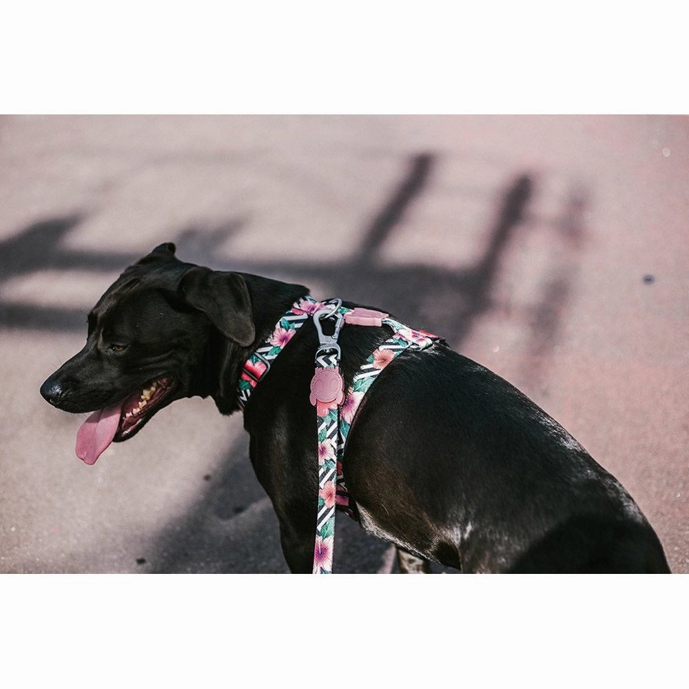 Zee.Dog Mahalo H Dog Harness
