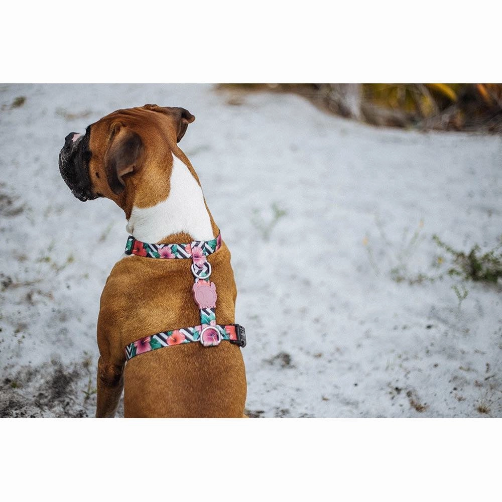 Zee.Dog Mahalo H Dog Harness