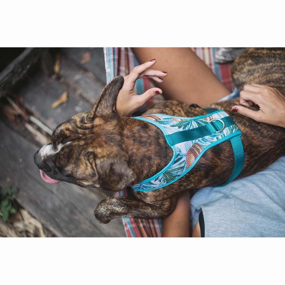 Zee.Dog Mczee Air Mesh Plus Dog Harness