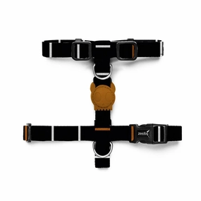 Zee Dog Patagonia H-Harness for Dog