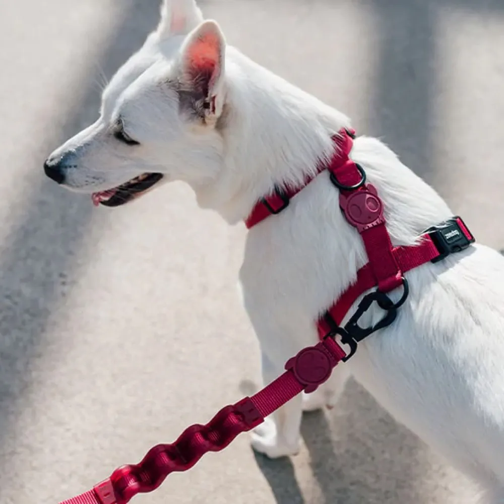 Zee.Dog Dog H-Harness (Bordeau)