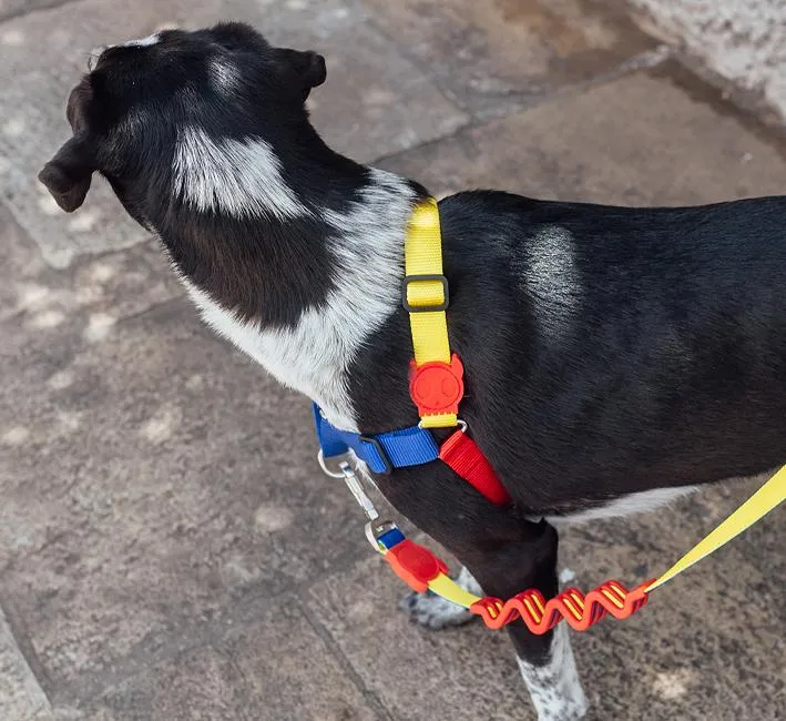 Zee.Dog Soft-Walk Dog Harness (Puzzle)