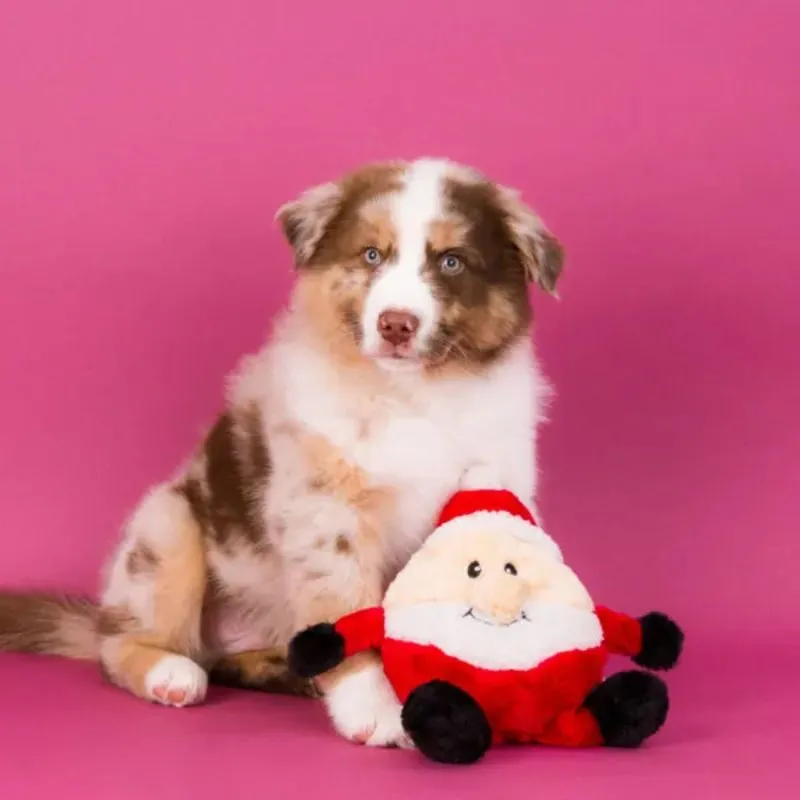 ZippyPaws - Holiday Brainey - Santa