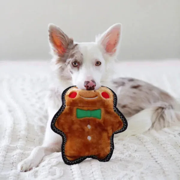 Zippypaws - Holiday Z-Stitch Gingerbread Man