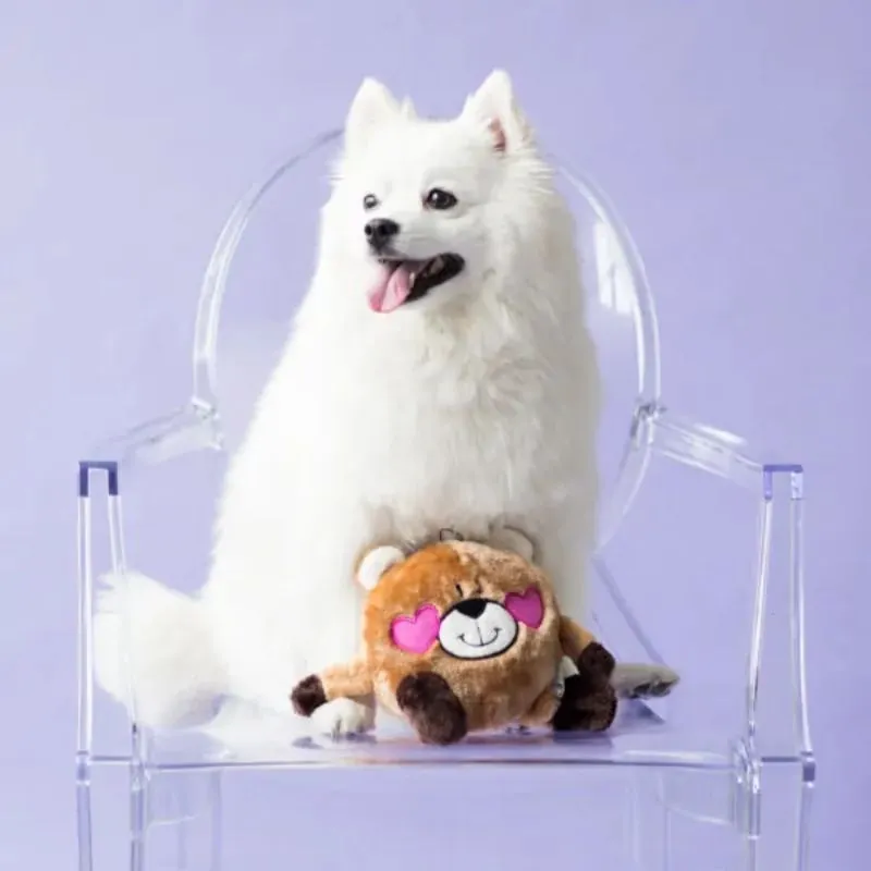 ZippyPaws - Valentine's Brainey - Bear in Love